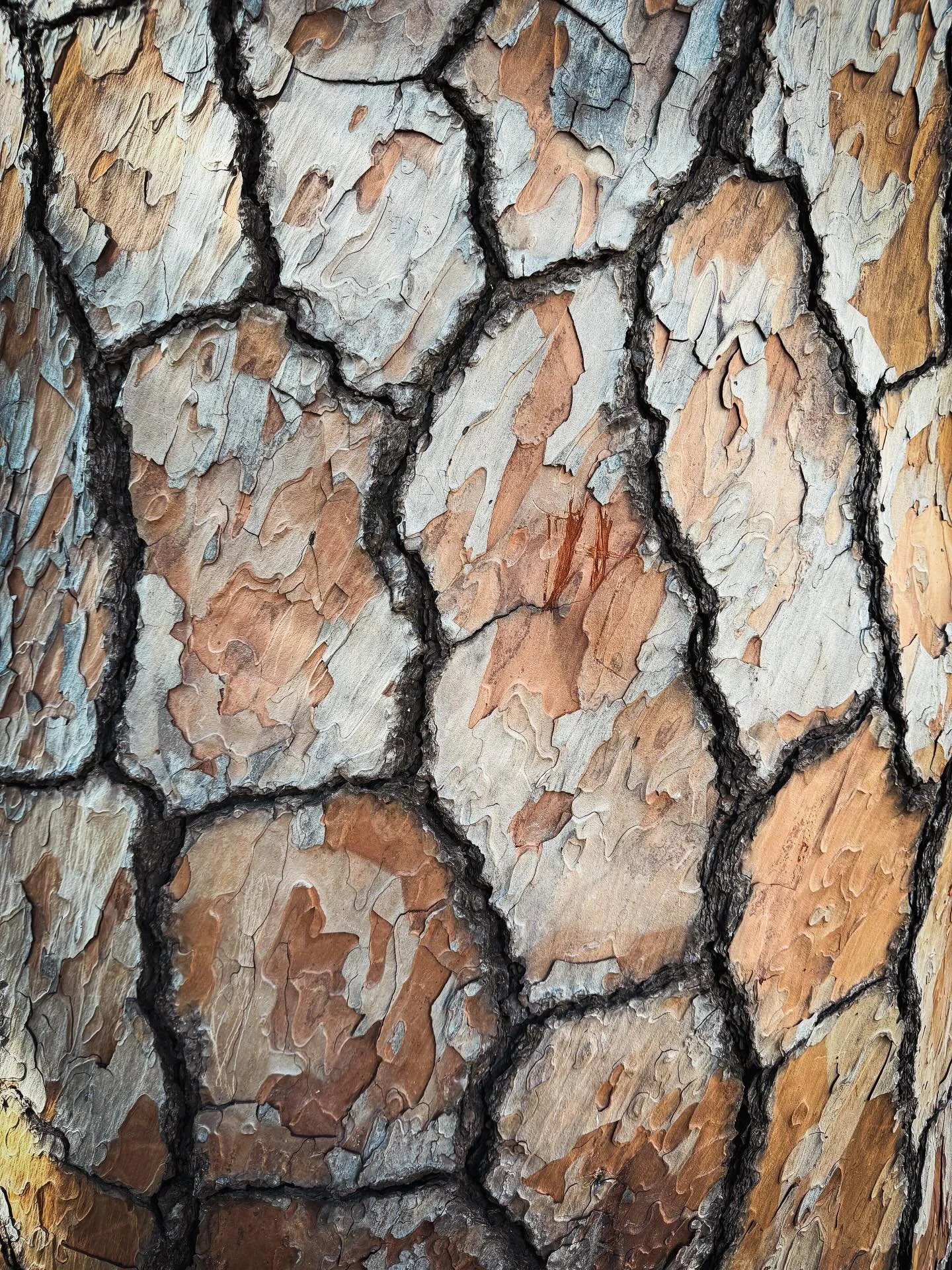 &ldquo;Adopt the pace of nature: her secret is patience.&rdquo;
&mdash; Ralph Waldo Emerson