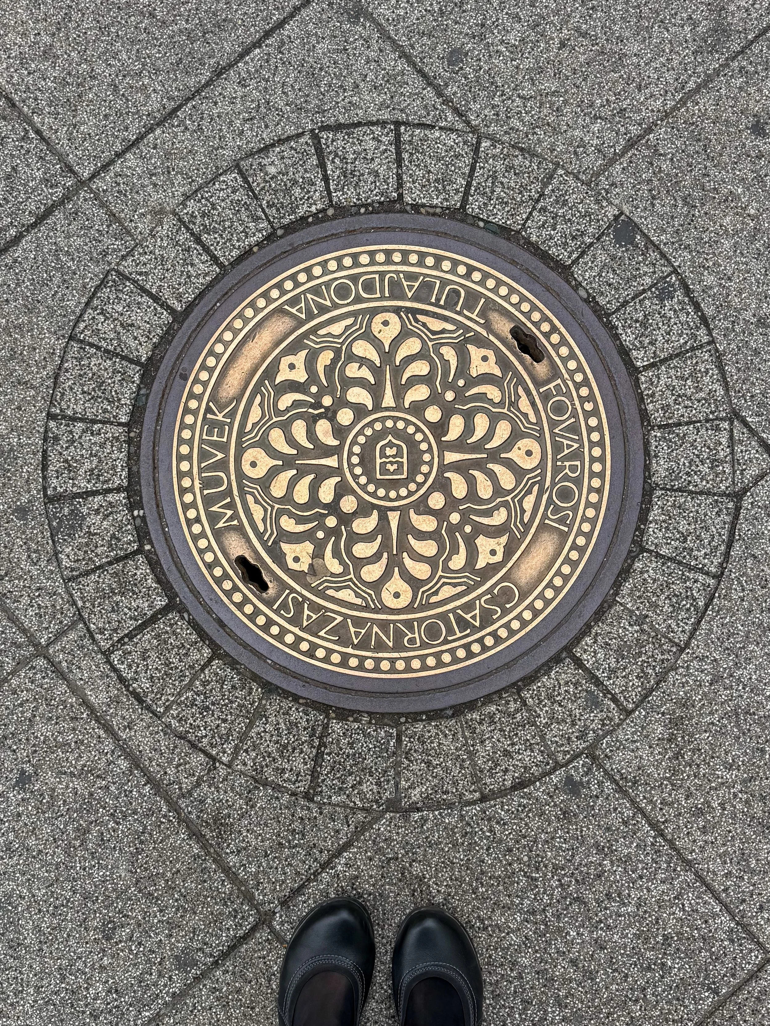 If anyone&rsquo;s making a manhole cover postcard series, I have submissions. 😉

#manholecover #lookdown #slowtravel #europeantravel #travelbugtonic