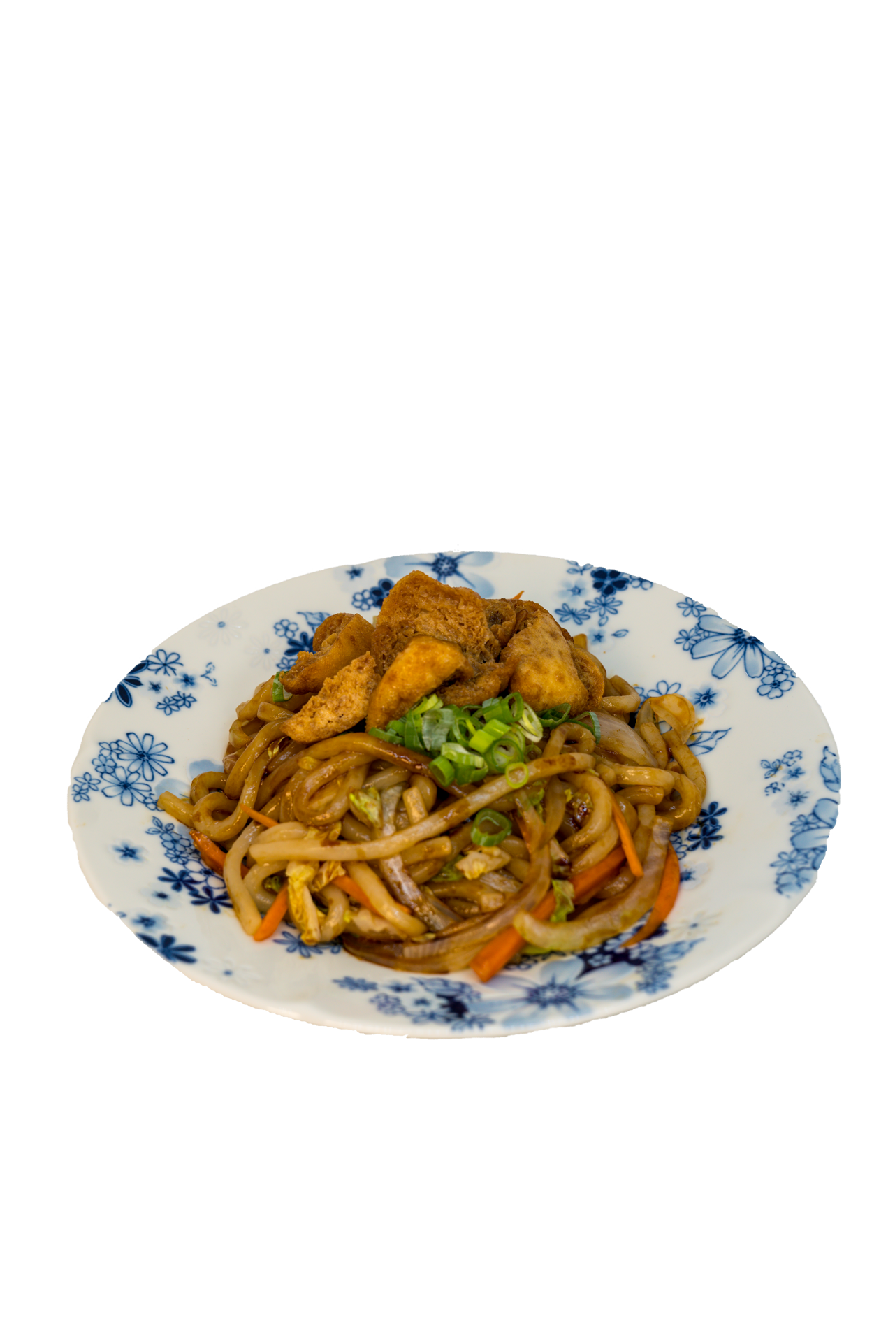 Japanese Teriyaki Udon Dishes — Kineya