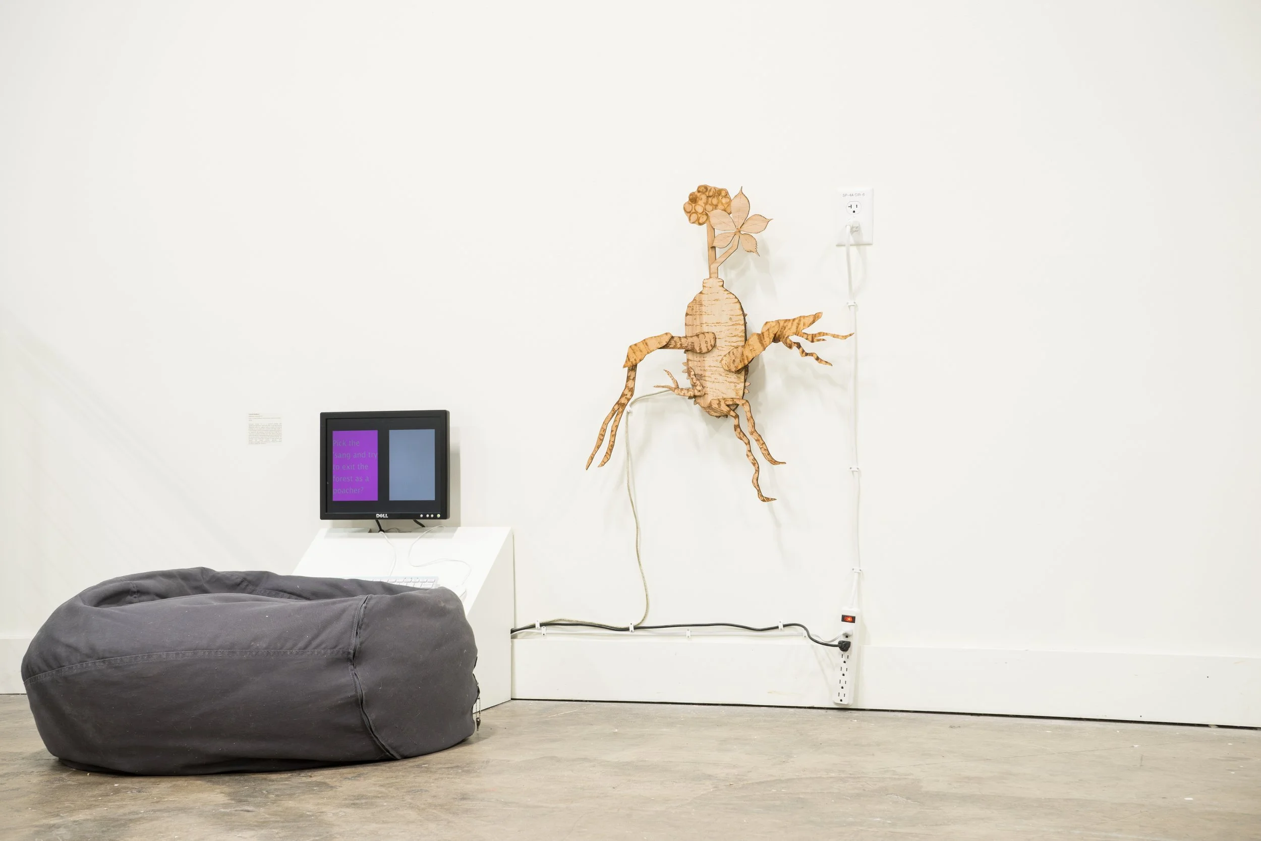 TSA_Install_Ramp_-51 copy.jpg