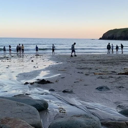 The Sustainable Development Goals In Wales | Conservation Trips I ...