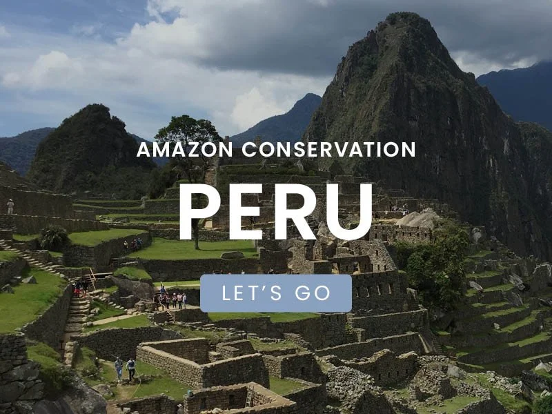 Amazonian Wildlife Expedition in Peru