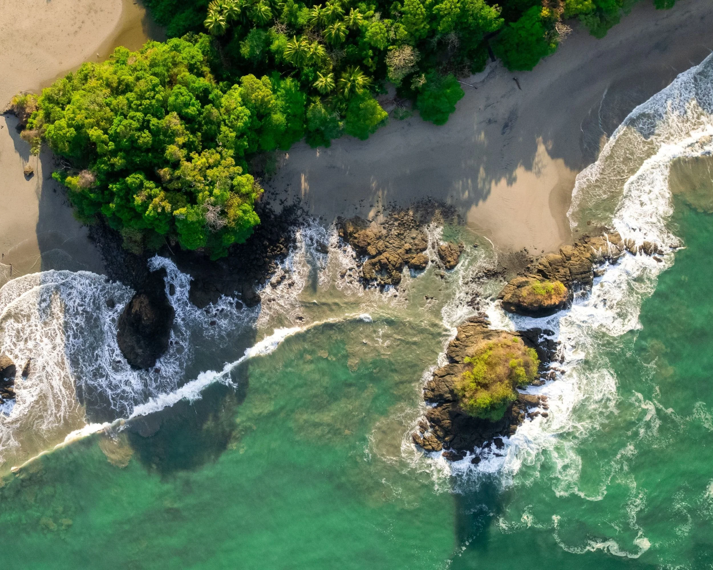 Wildlife Expedition, Costa Rica ‘24 I Flooglebinder
