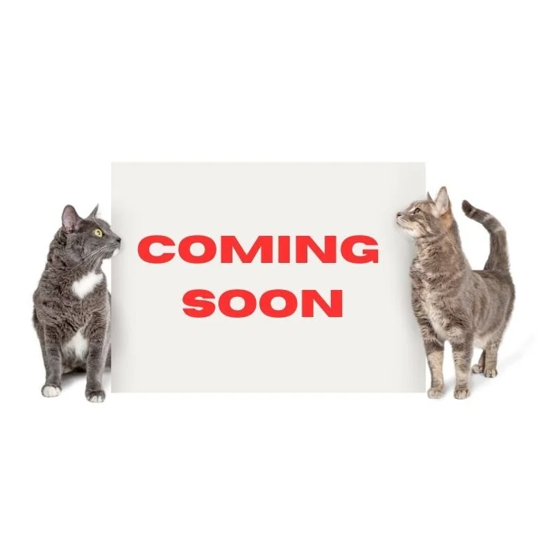 COMING SOON.jpg