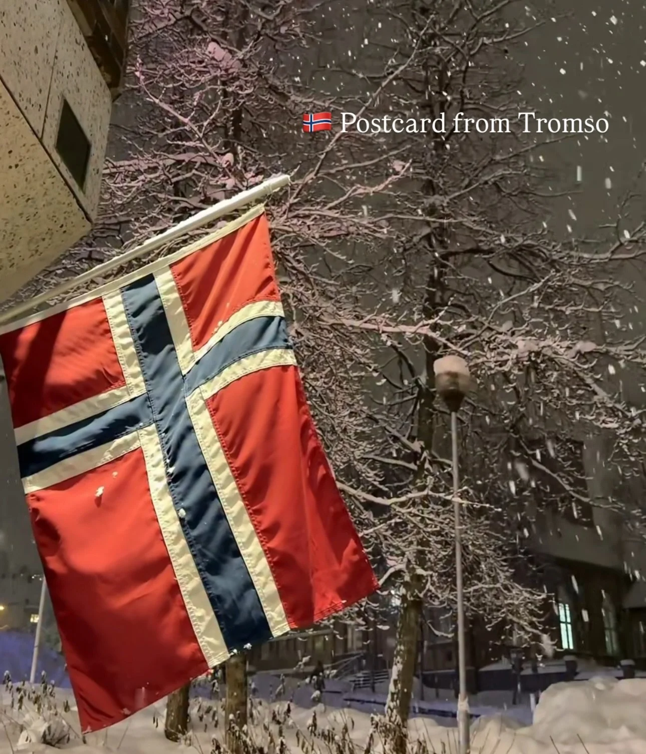 🇳🇴 The wonder of Polar days and nights in Troms&oslash;, when the city becomes pure Arctic magic and the skies come alive with the aurora ❄️