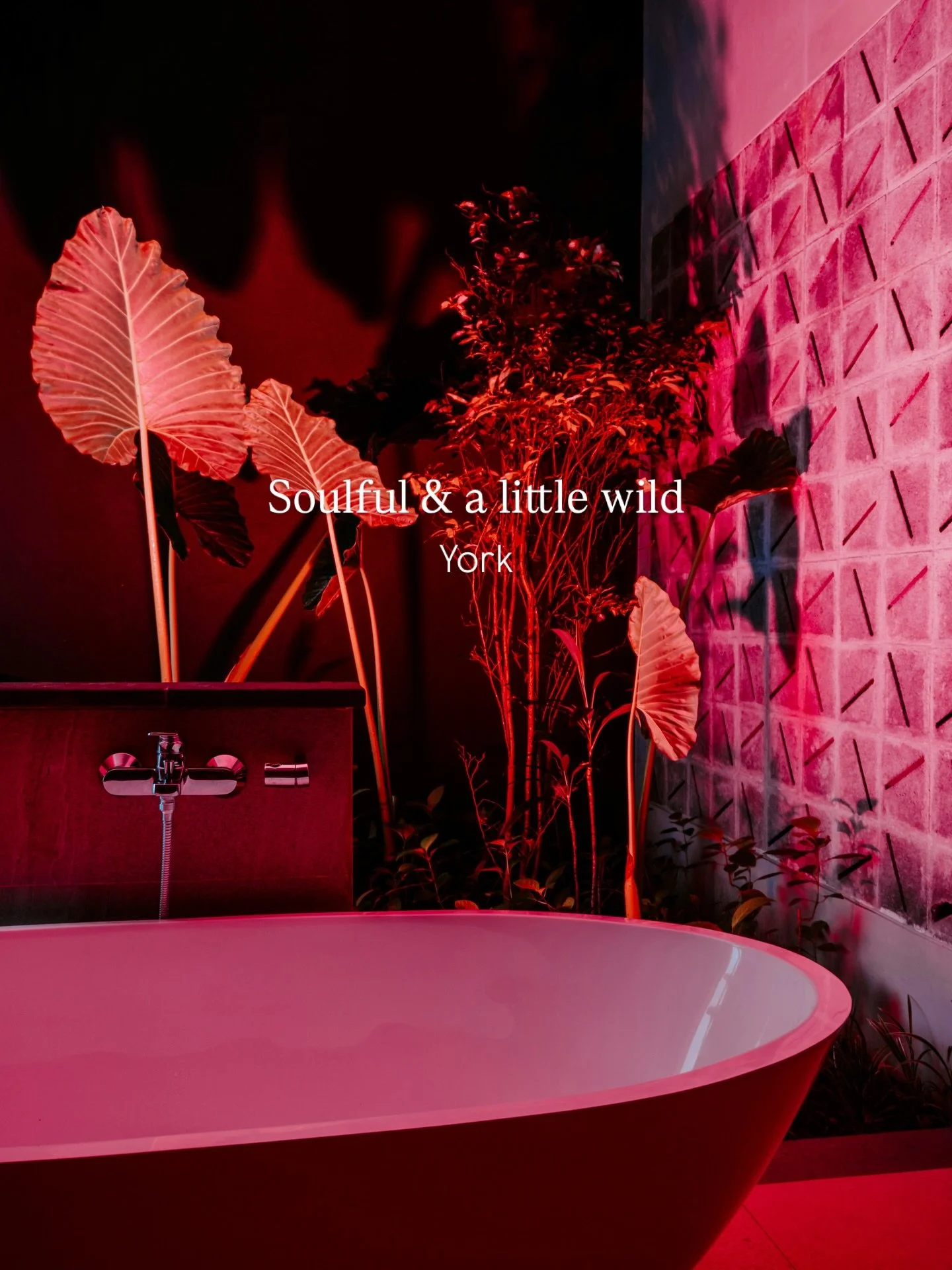 Sun-drenched bohemian  bathroom vibes, even under Yorkshire clouds the perfect moody vibe for a rainy-day property shoot. 🌧️🦆

Like the detail. Comment the design. Share the vibe.