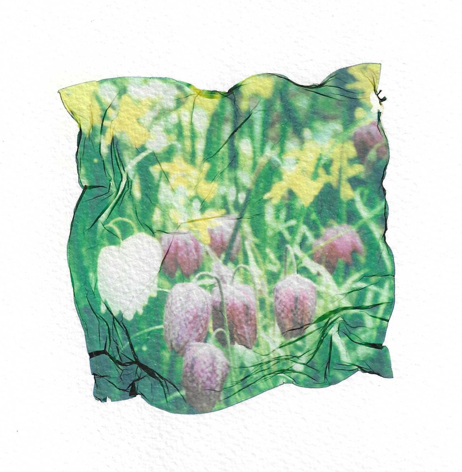 Spring Meadow.jpeg