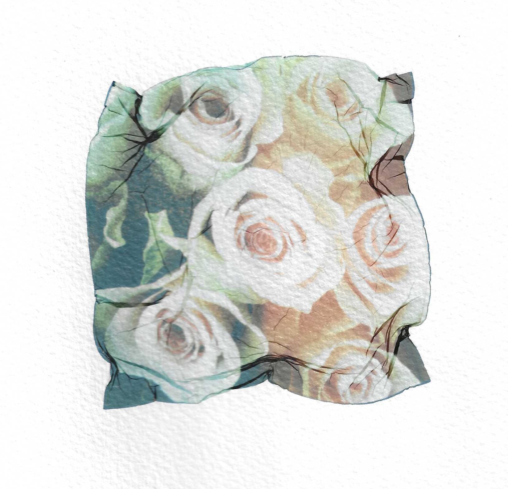 Roses.jpeg