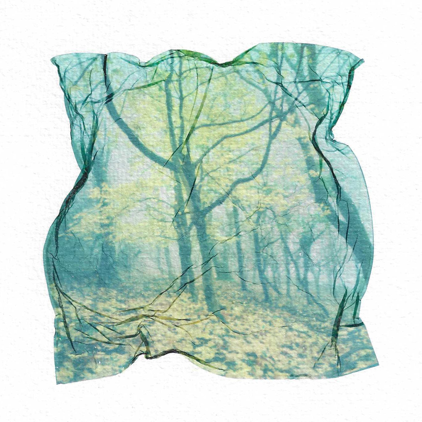 Sian Cann_Gifts From the Mist II_2.jpeg