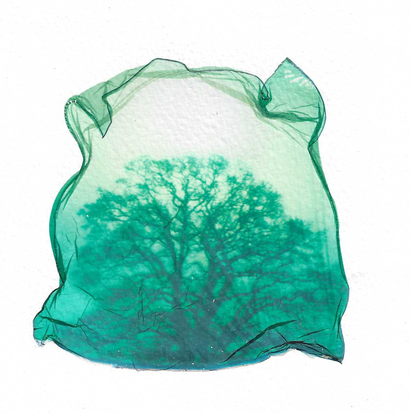 Sian Cann_Gifts From The Mist VI_6.jpeg