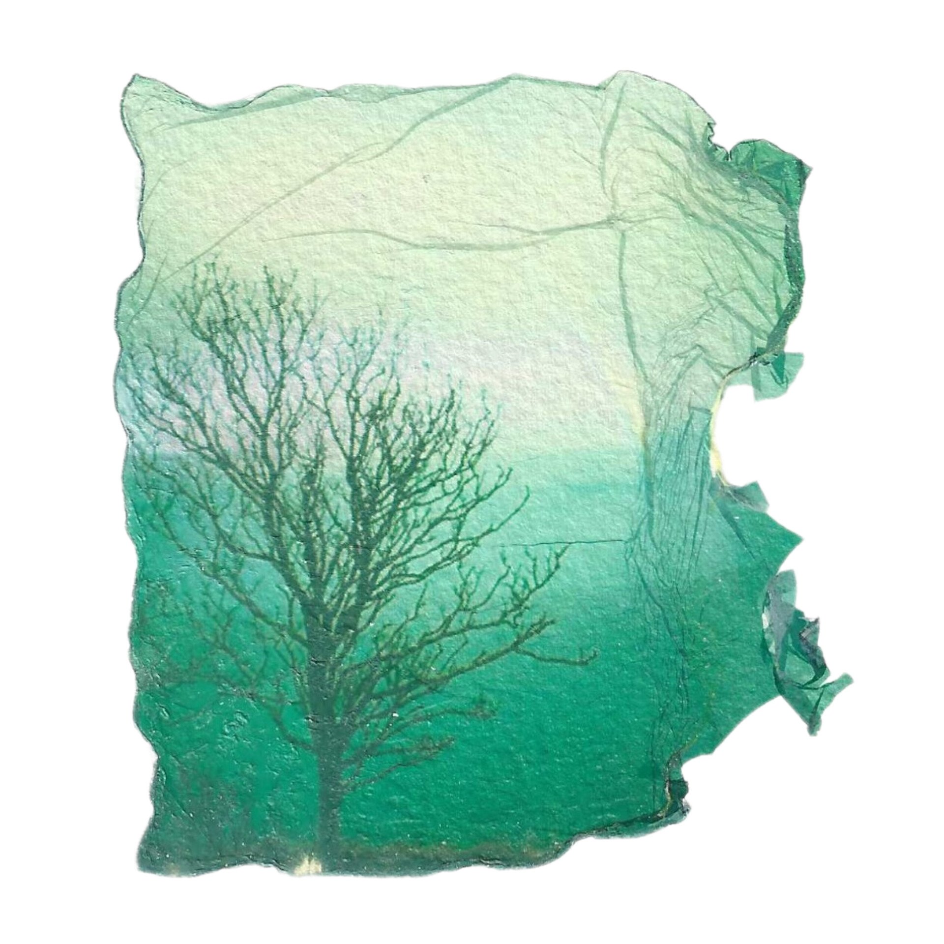 Turquoise Tree for print.jpg