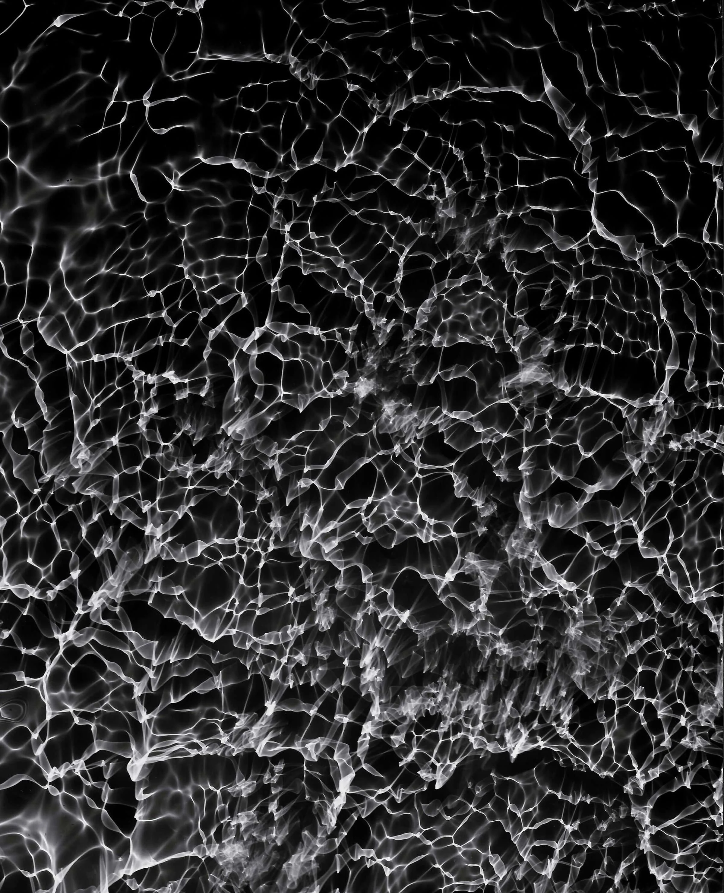 Night Swimming_Sian Cann.jpg