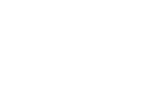 Sentinel Logo