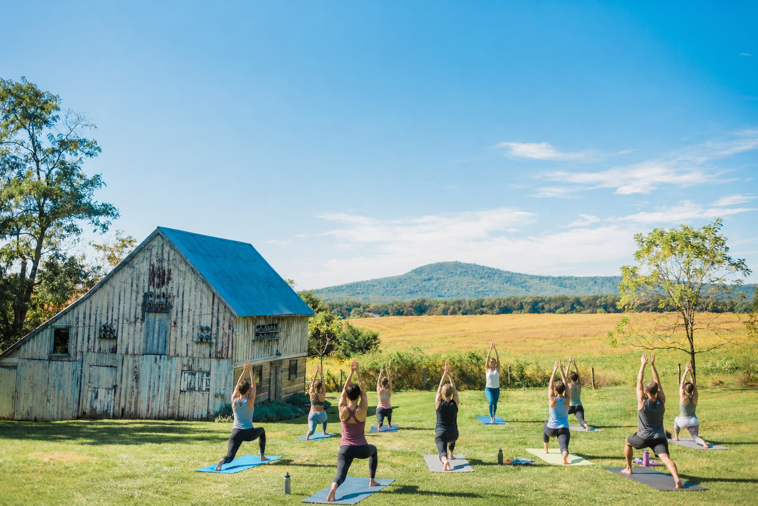 Sip & Stretch - Yoga at Comus