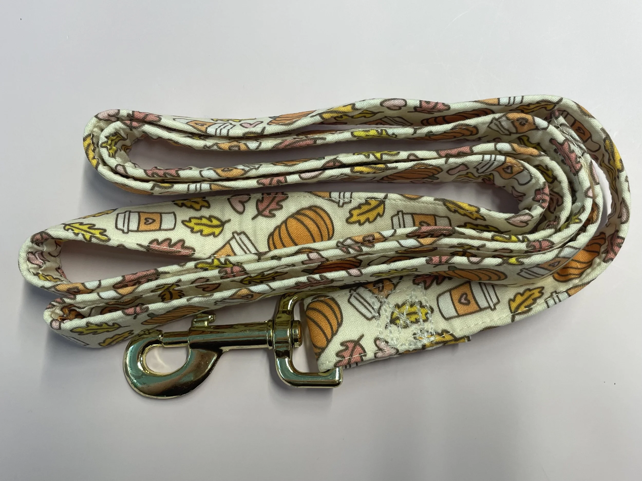 Pumpkin spice leash.jpeg