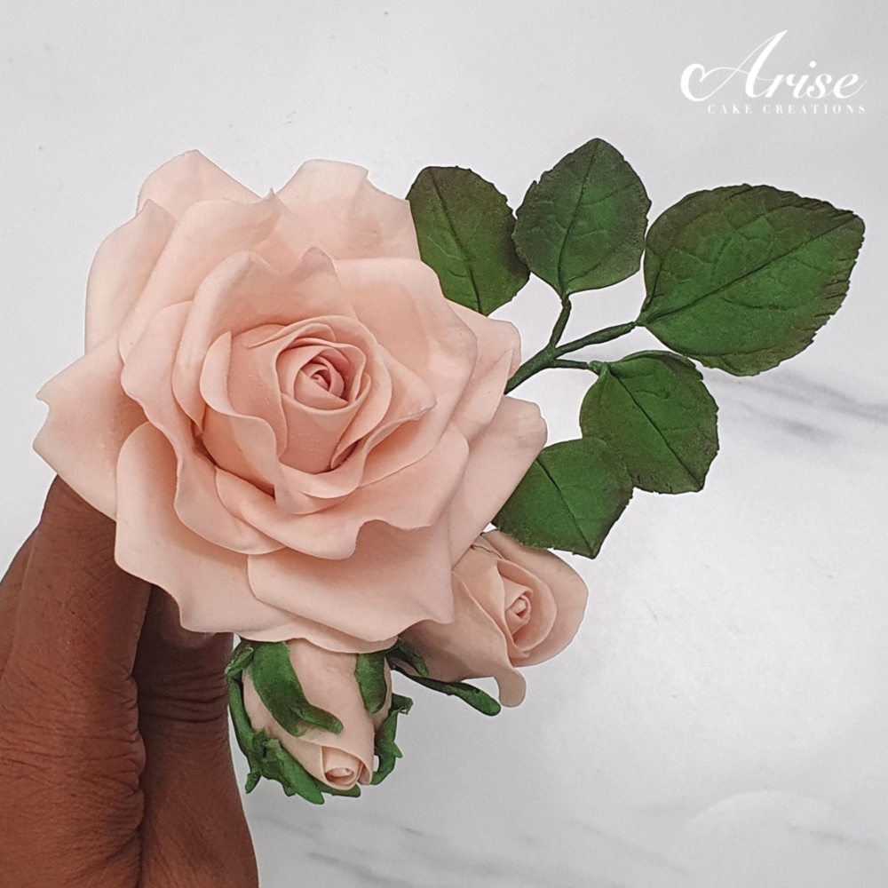 clase cuatro veces Persona con experiencia Easy Realistic Gumpaste Rose | Sugar Flowers | Part 1 — Arise Cake Creations