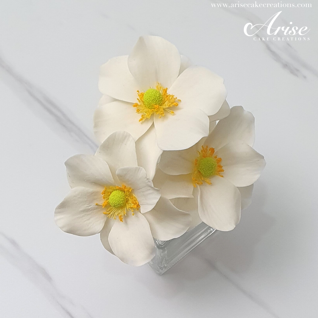 Gumpaste Japanese Anemone, Easy Option for Beginners Also Included