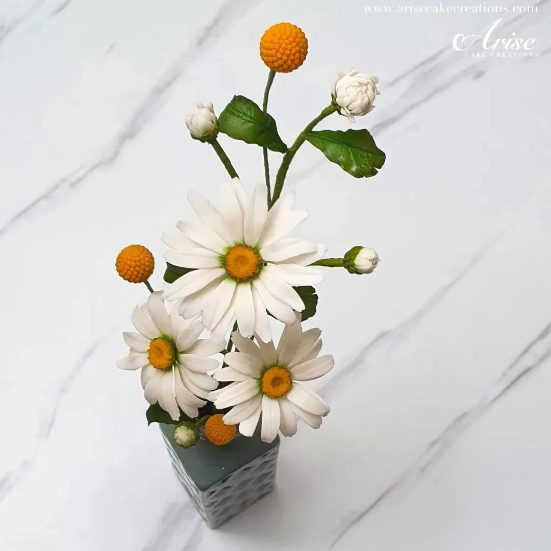 PRETTY SHASTA DAISY TUTORIAL- Come Make A Pretty Shasta Daisy With Me | Beginner Friendly🥰This Daisy is a pretty summer bloom with pure white he-loves-me-he-loves-me-not petals radiating from a cheery yellow centre it can be made in gumpaste or cold
