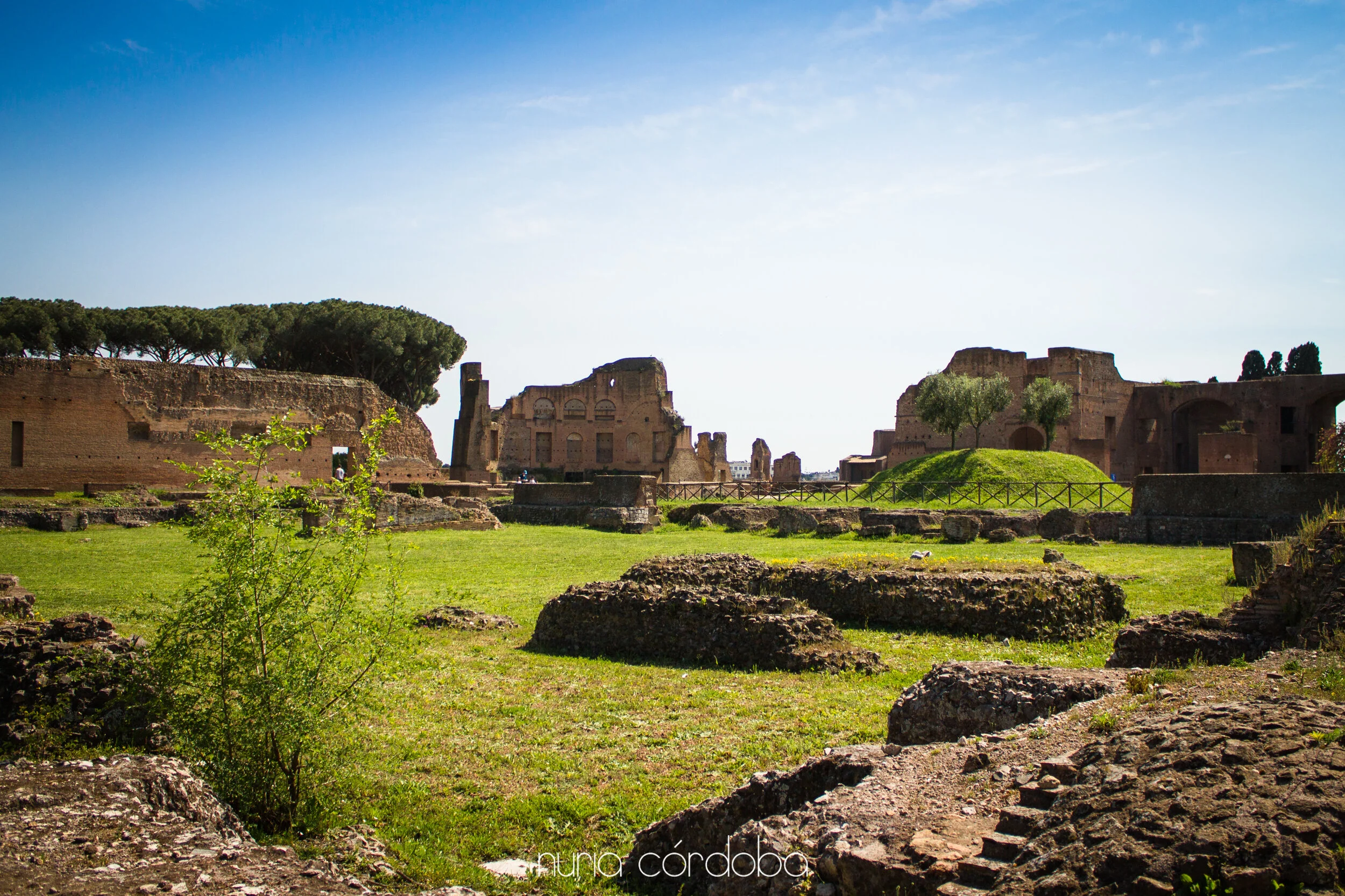 roma_nuriacordoba-74.jpg