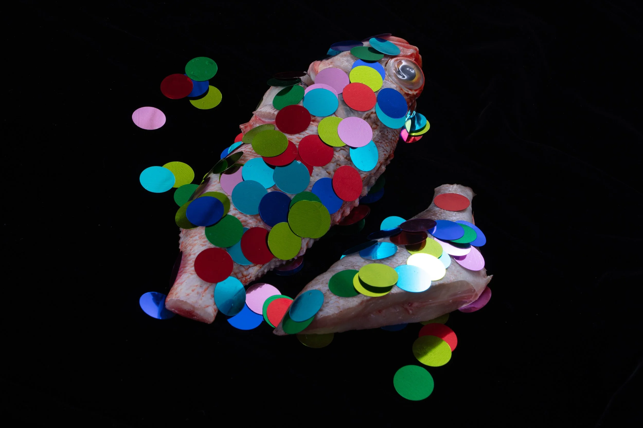 glitter fish-6.jpg
