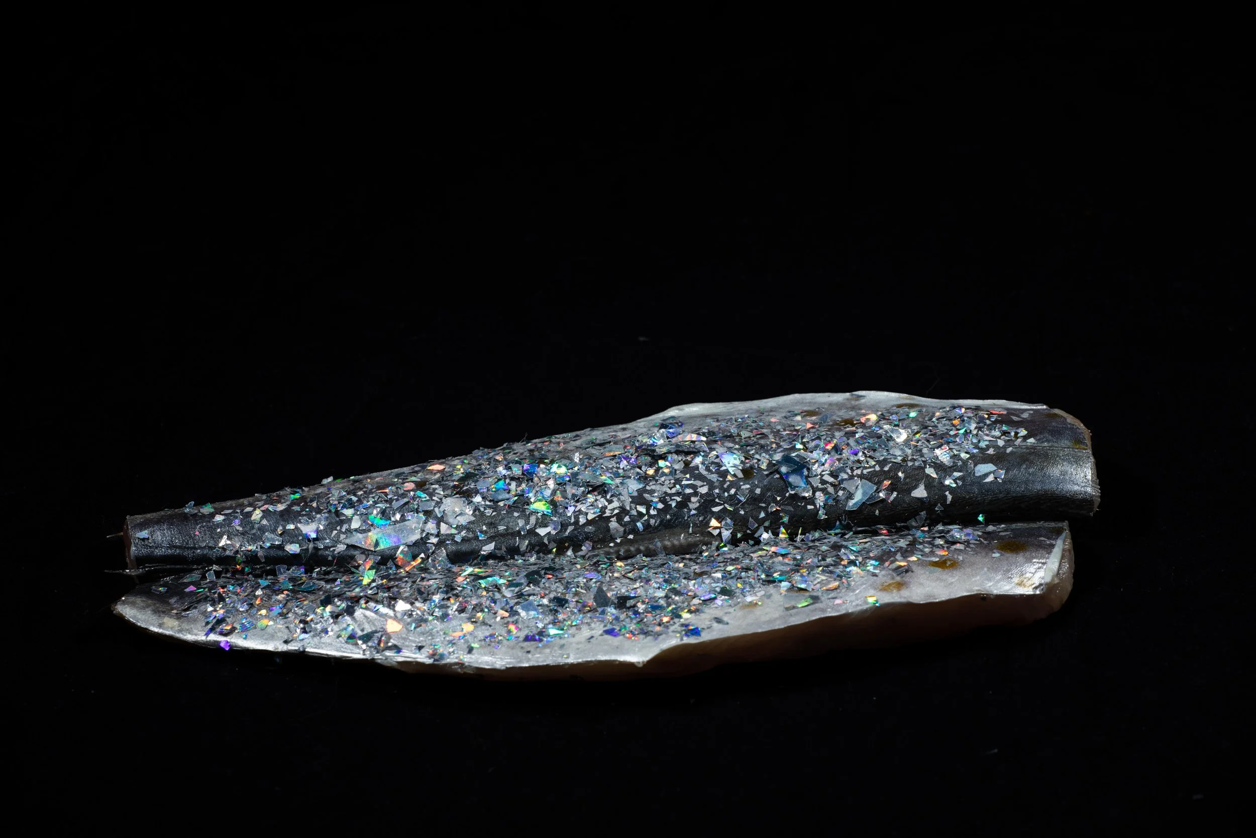 glitter fish.jpg