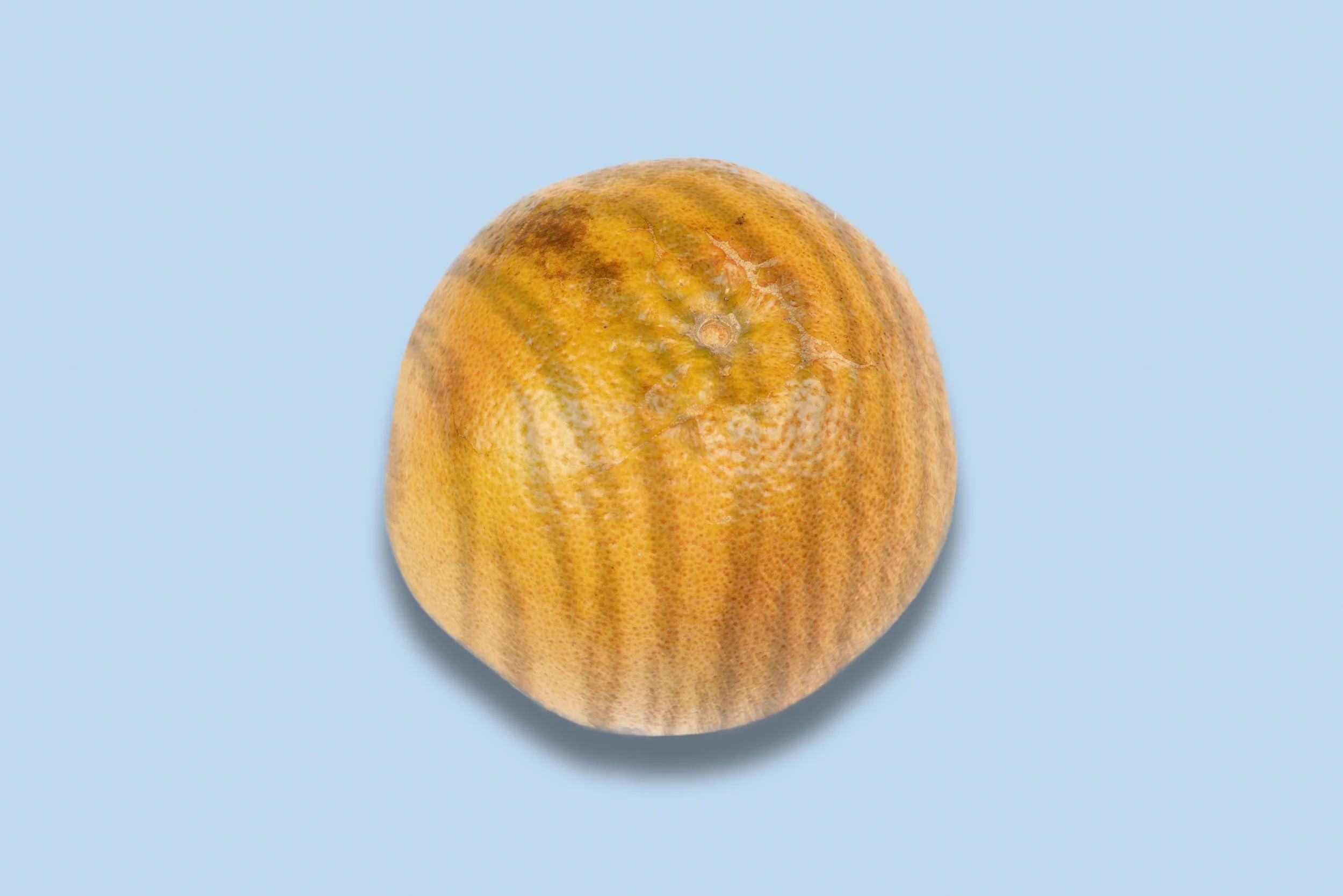 website-24.jpg