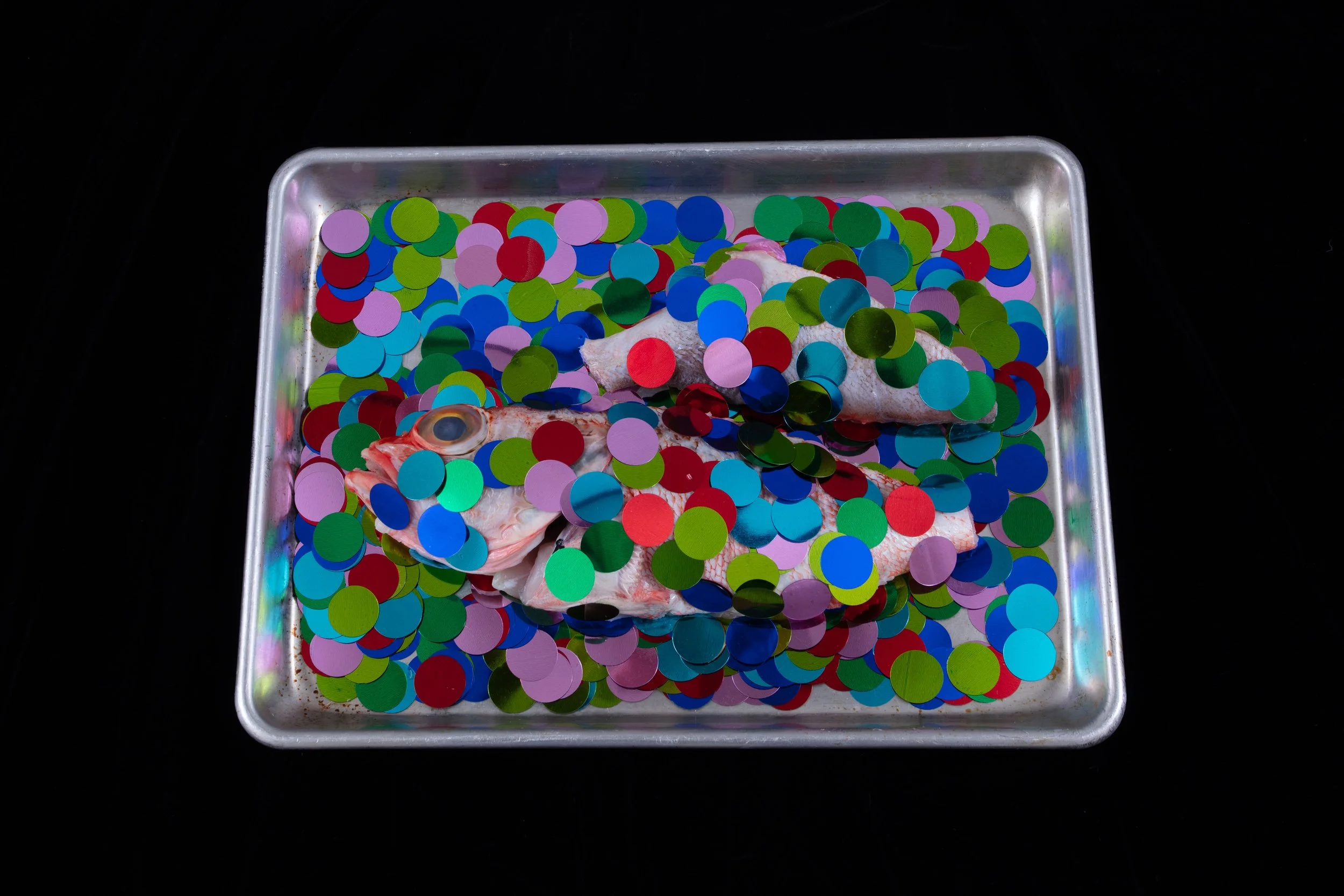 glitter fish-5.jpg