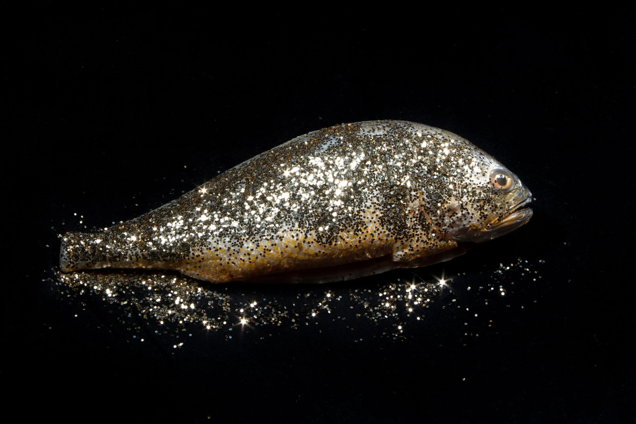 glitter fish-4.jpg