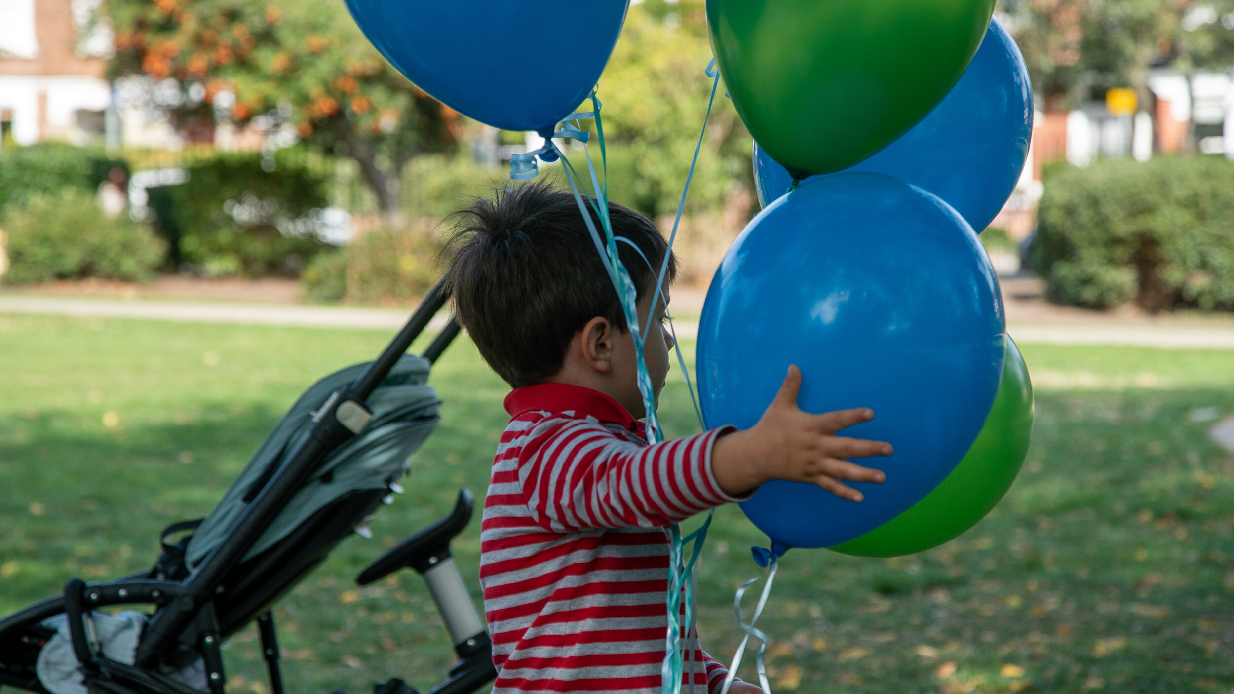 DSC05284.jpg