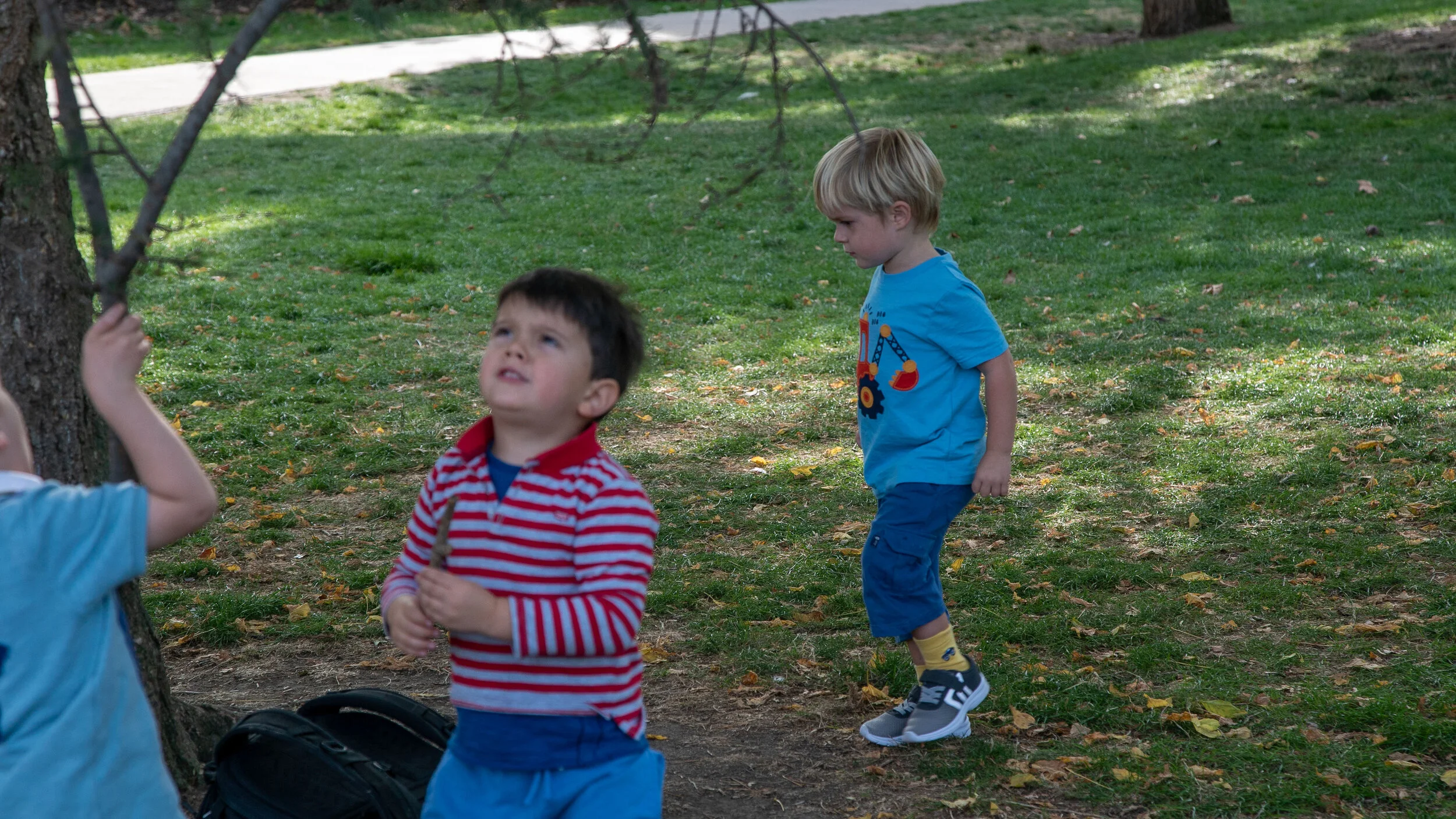 DSC05304.jpg