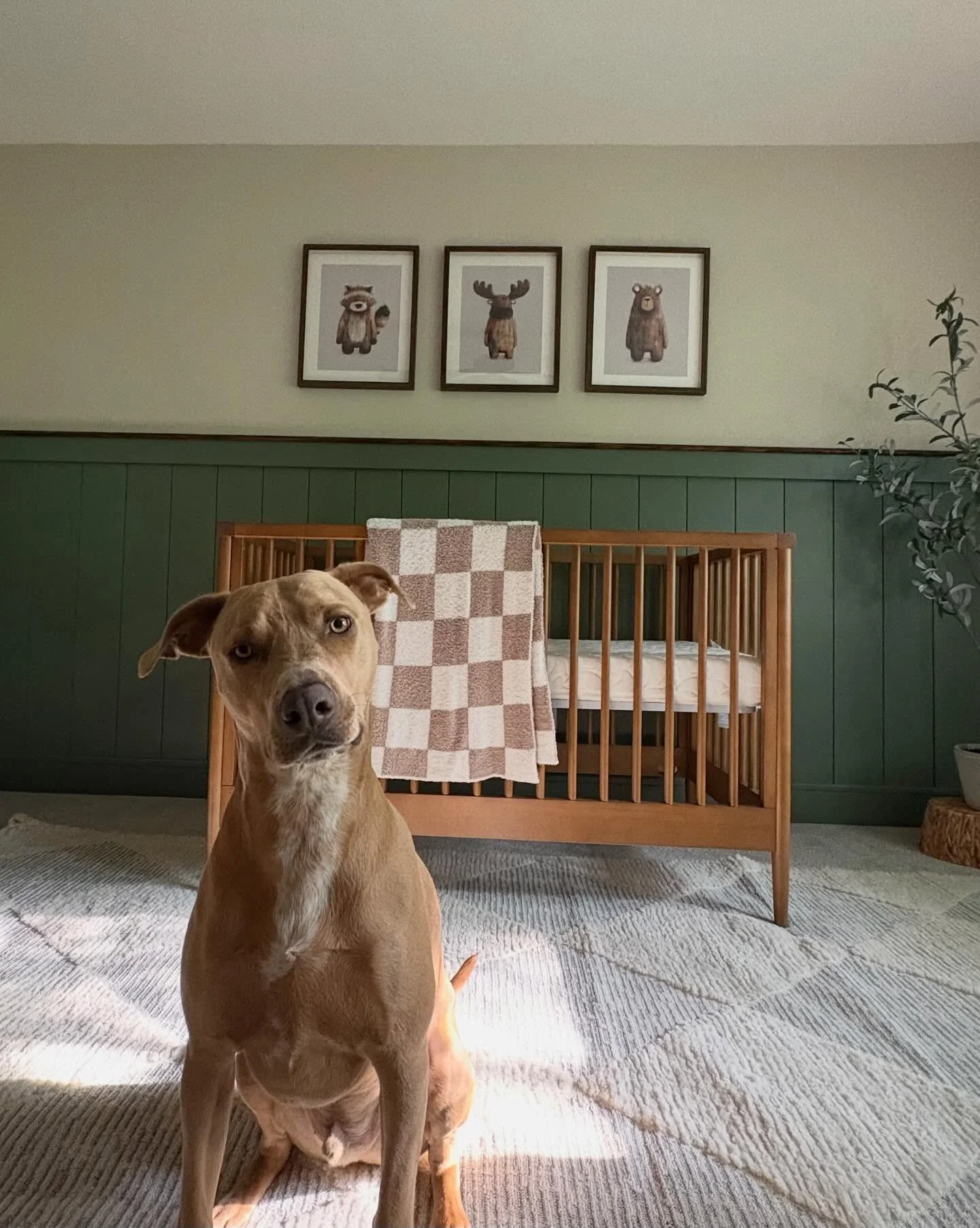 WAITLIST

I believe I have responded to everyone on our waitlist as I took &ldquo;time off&rdquo; to work on becoming a first time mom!

While I still am figuring out that balance, I thank everyone for the patience! Thanks for those who have waited t