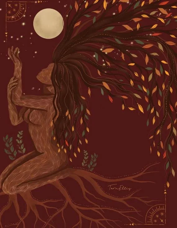 Postpartum Recovery &amp; Support