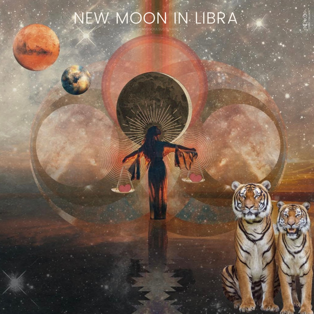 New Moon Circle | Tea Ceremony & Journaling
