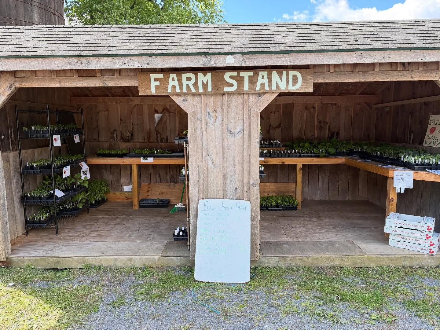 Our vegetable seedling sale is open today, 5/3, until 2pm. We have heirloom tomatoes, cherry tomatoes, eggplant, various peppers, kale, Swiss chard, lettuce, basil, parsley, thyme, oregano, sage, rosemary, cucumbers, and summer squash. See you soon!