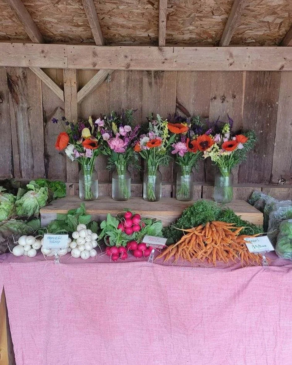 Our farm stand is open today from 10am-6pm! Stop by early and you might snag the last of our asparagus. We will also have: romaine and Butterhead lettuce, radishes, kale, herbs, bagged salad green, bagged spinach, rainbow Swiss chard, scallions, trul