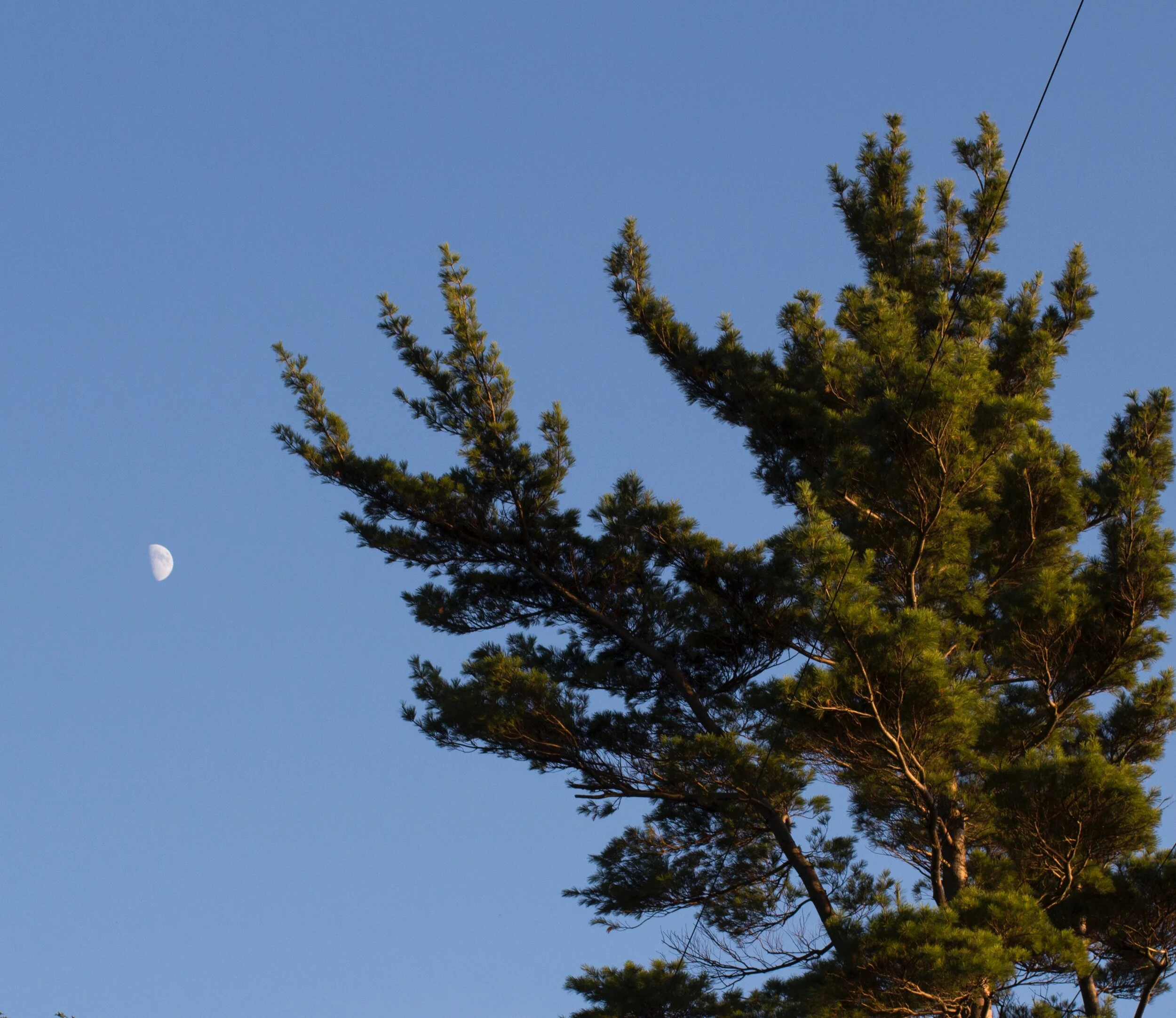 Moon.jpg