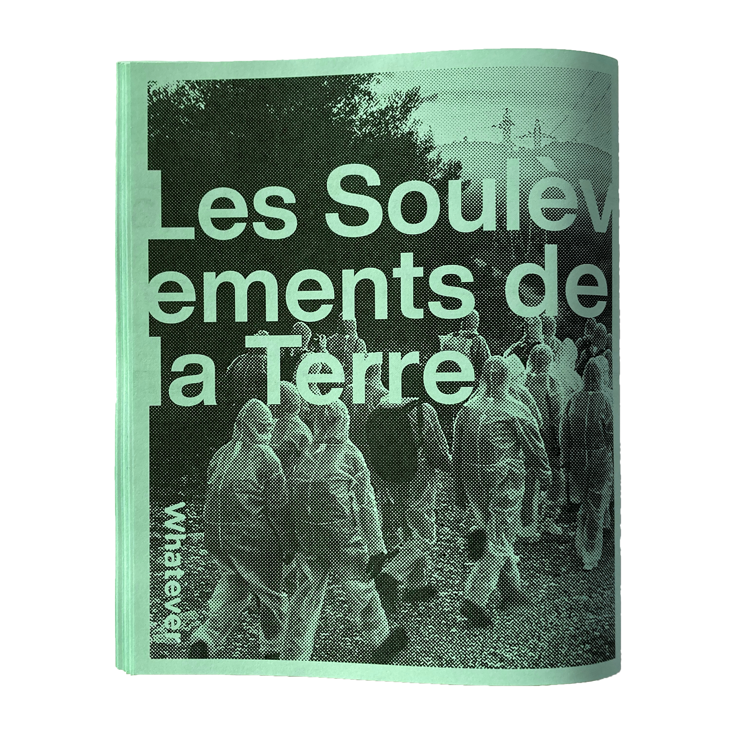 back cover.png