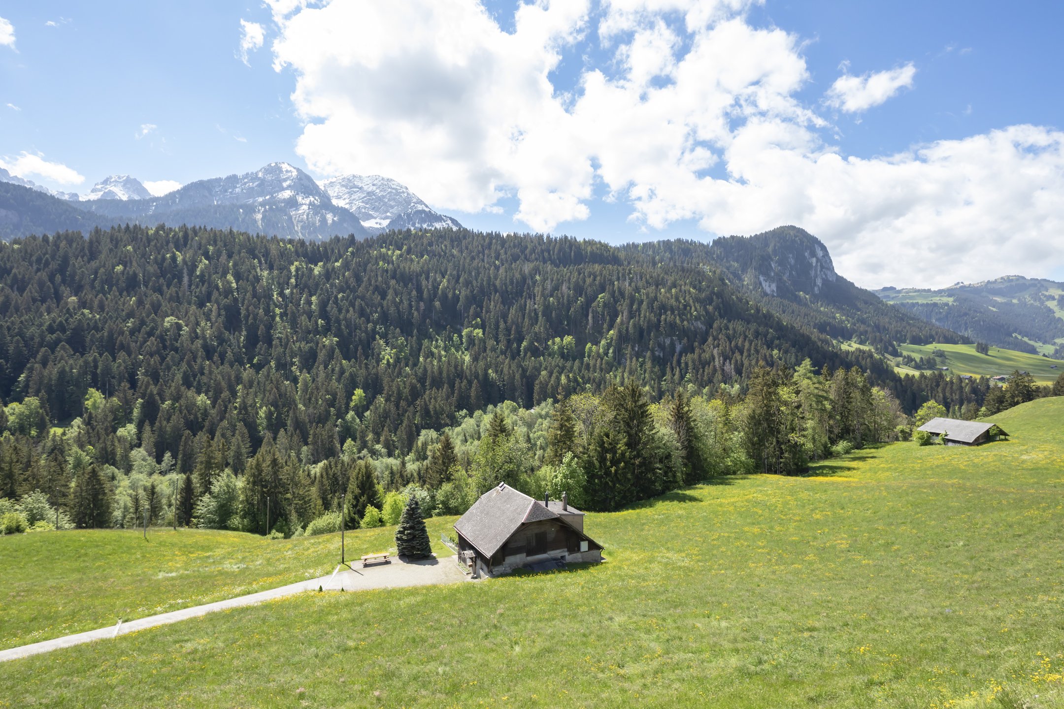006_Château_d'Oex_appartement_G6_Smaal_Swiss_Immo.jpg