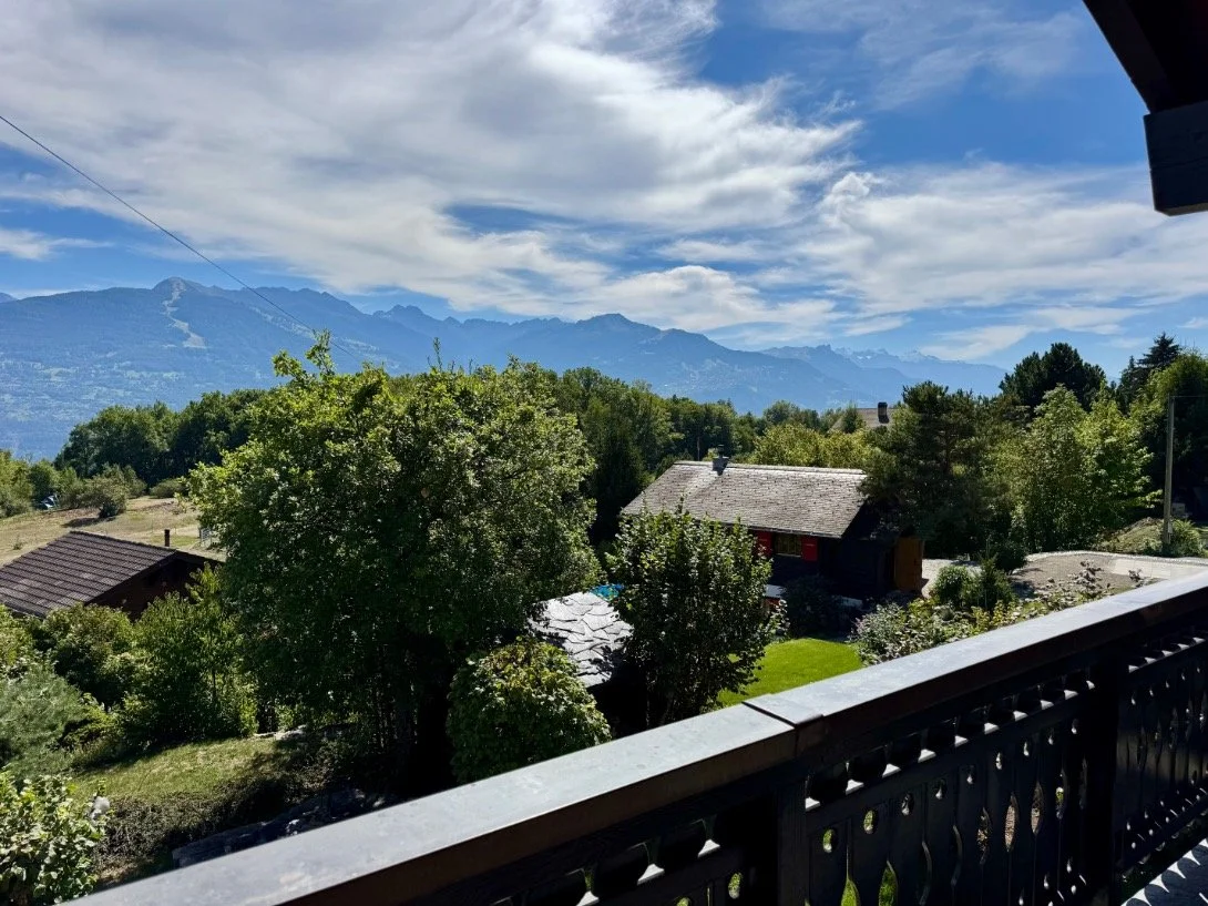 019_Savièse_chalet_Smaal_Swiss_Immo.jpg