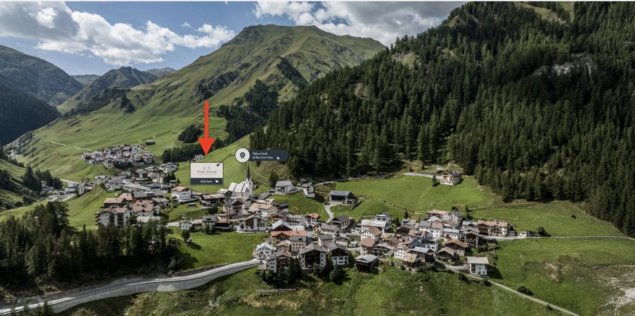 The Edge summer.jpeg