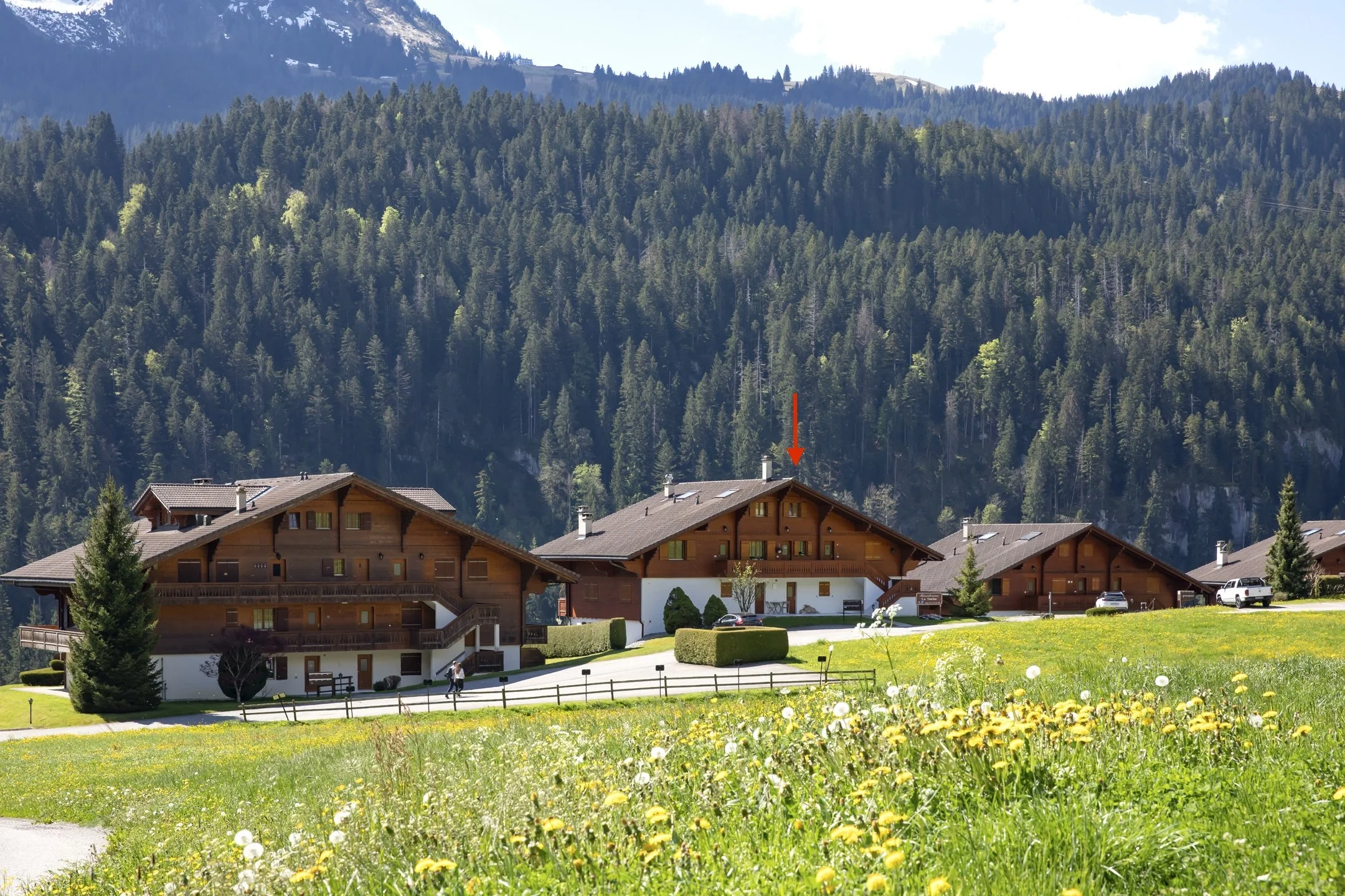 003_Château d'Oex_appartement_Smaal_Swiss_Immo.jpg