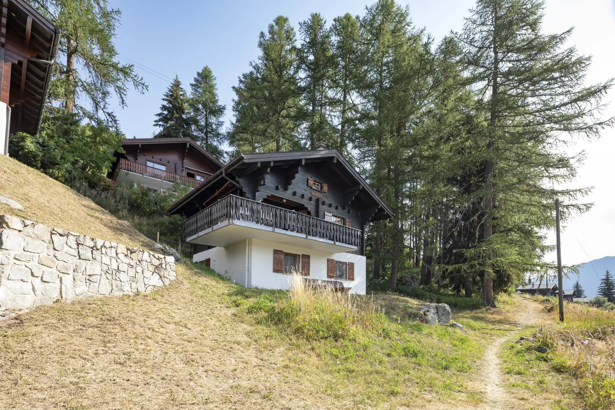002_Bellwald_chalet_Smaal_Swiss_Immo.jpg