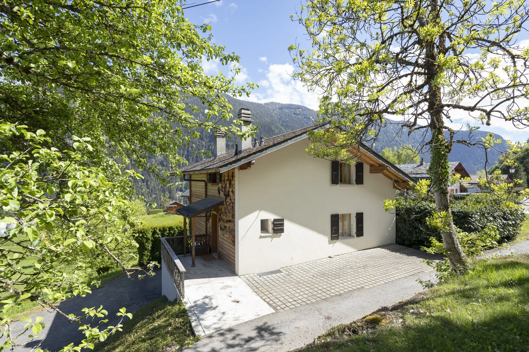 006_Les_Marécottes_chalet_Smaal_Swiss_Immo.jpg