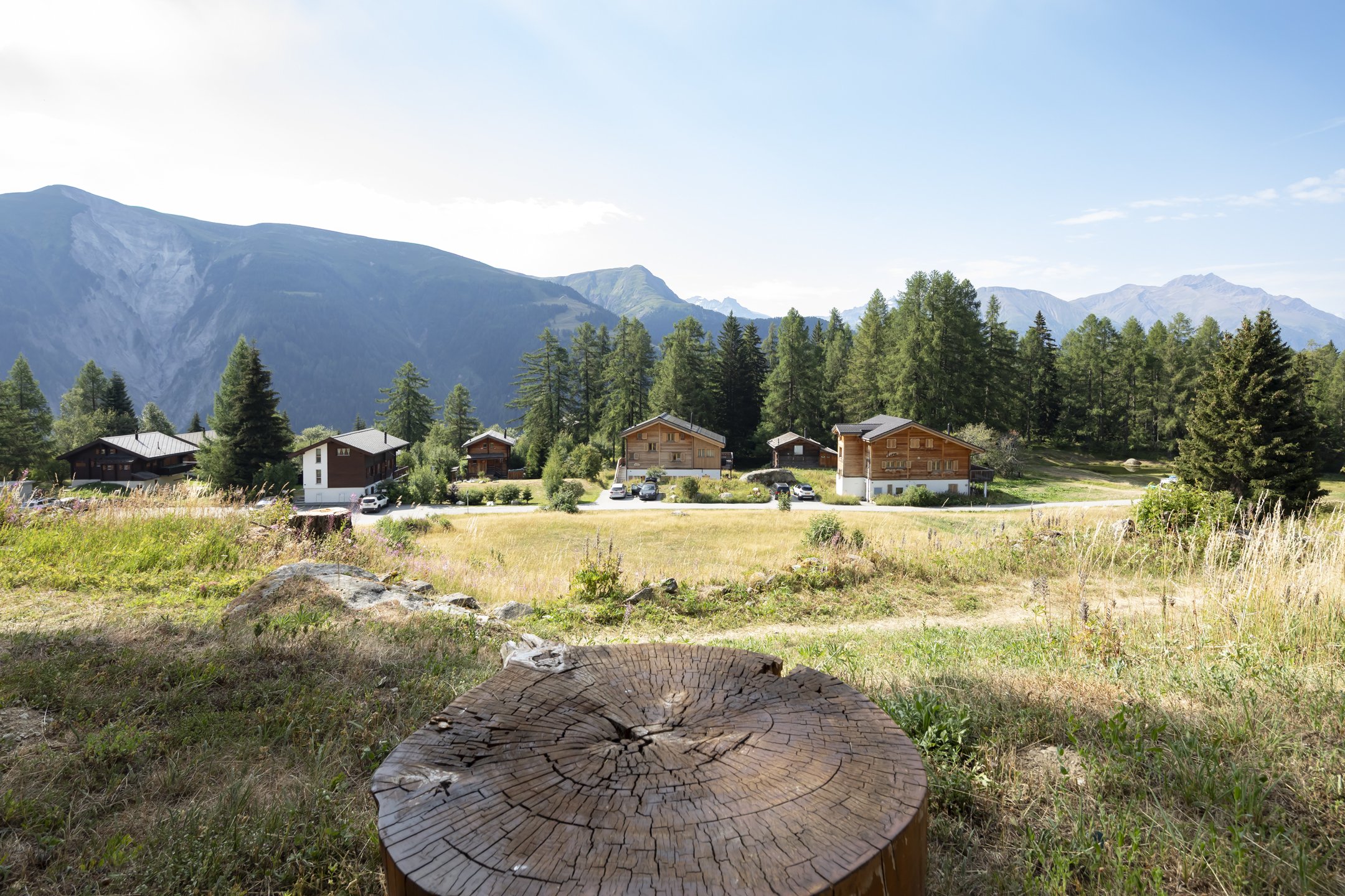 022_Bellwald_chalet_Smaal_Swiss_Immo.jpg