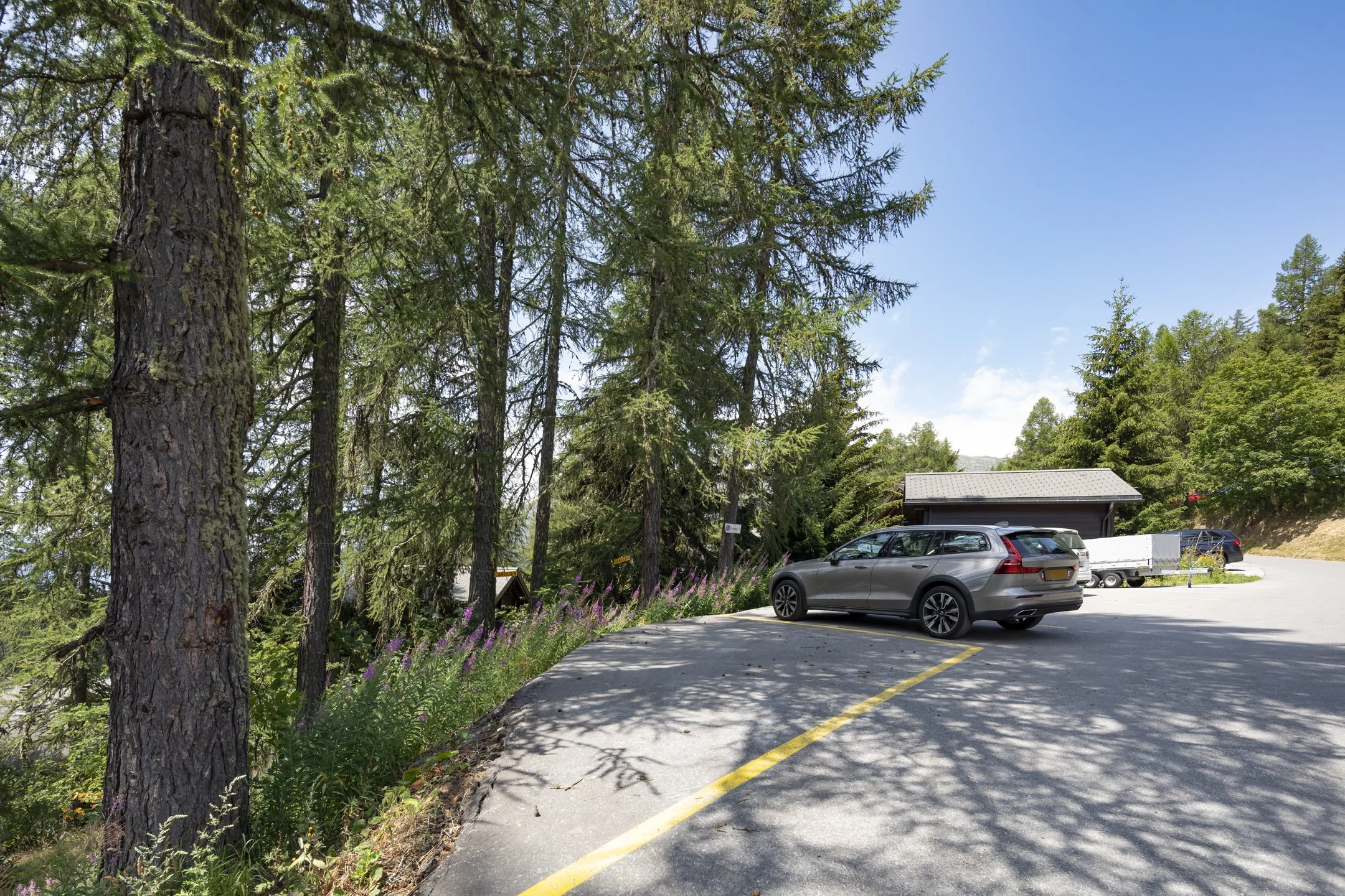 030_Bellwald_chalet_Smaal_Swiss_Immo.jpg