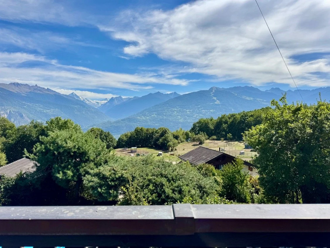 018_Savièse_chalet_Smaal_Swiss_Immo.jpg