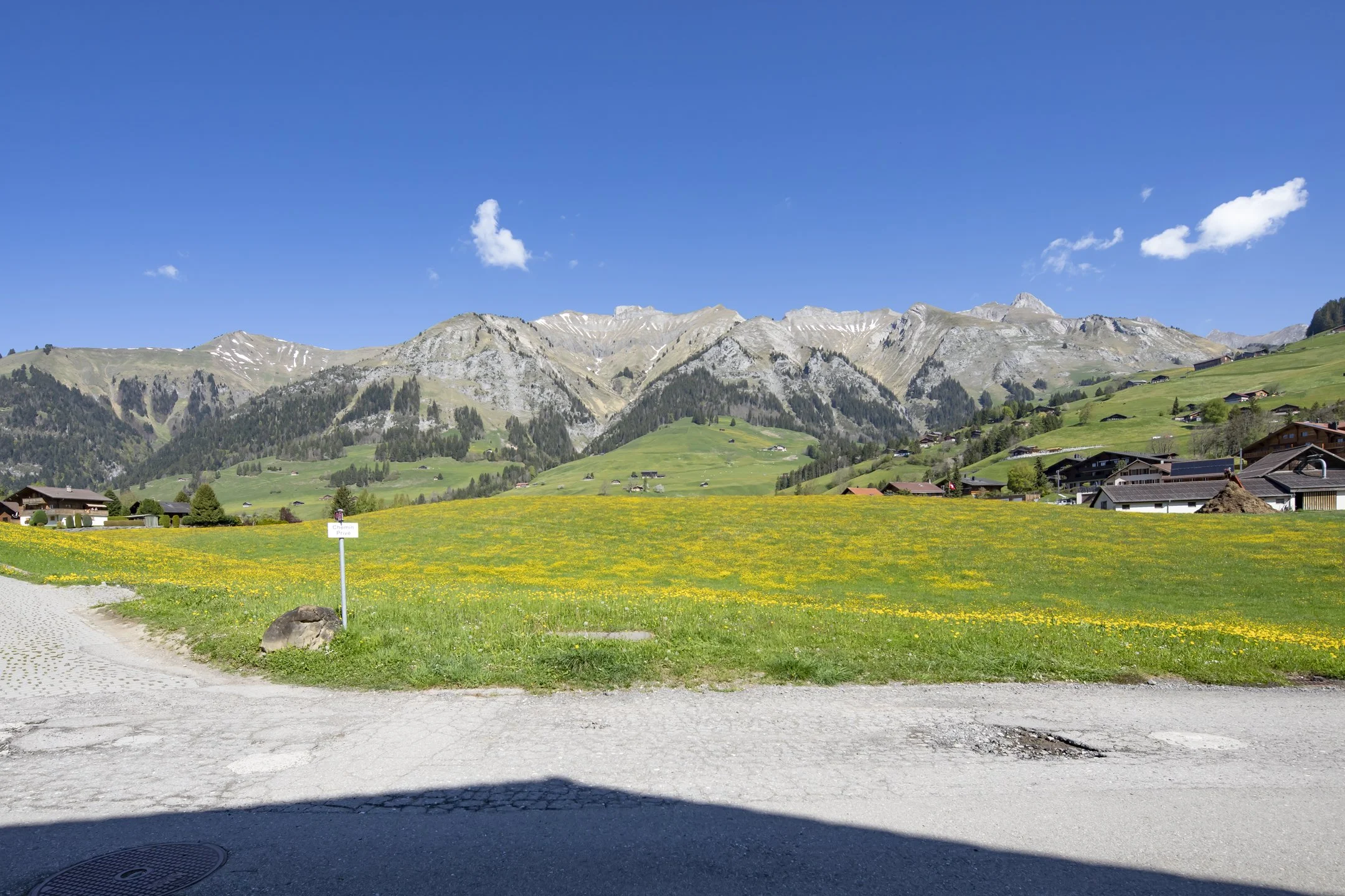 008a_Château d'Oex_appartement_Smaal_Swiss_Immo.jpg