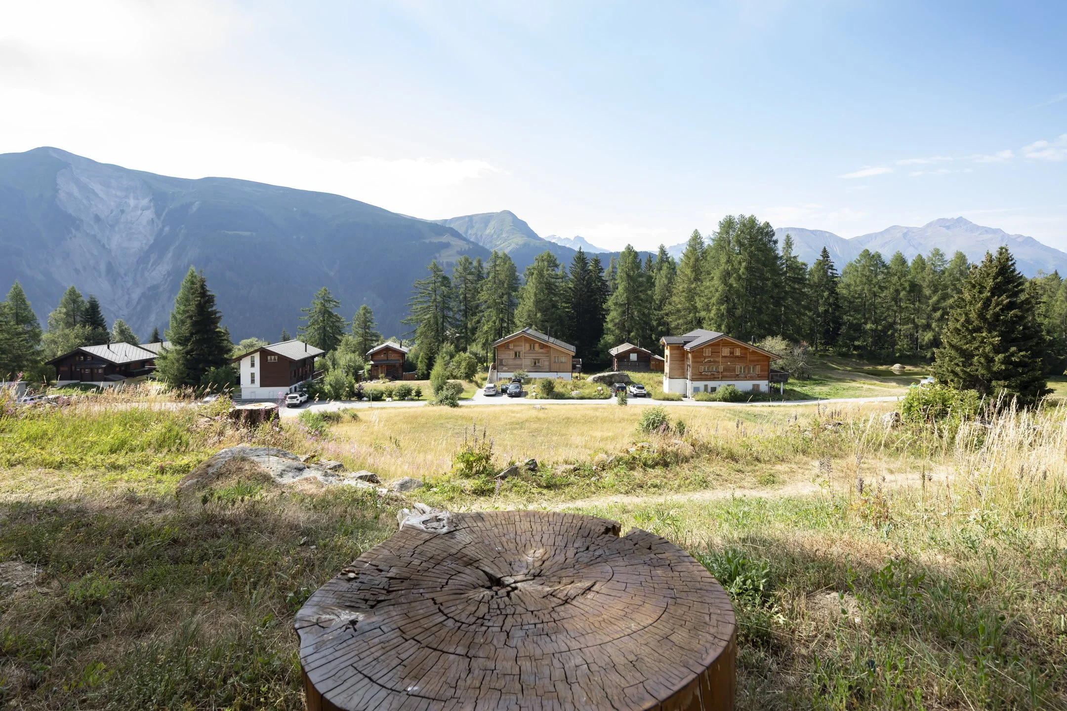 022_Bellwald_chalet_Smaal_Swiss_Immo.jpg