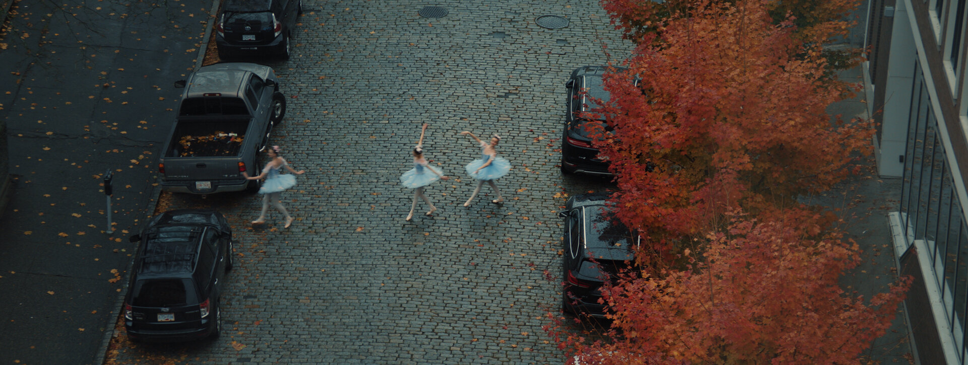 For stills.00_08_26_14.Still082.jpg
