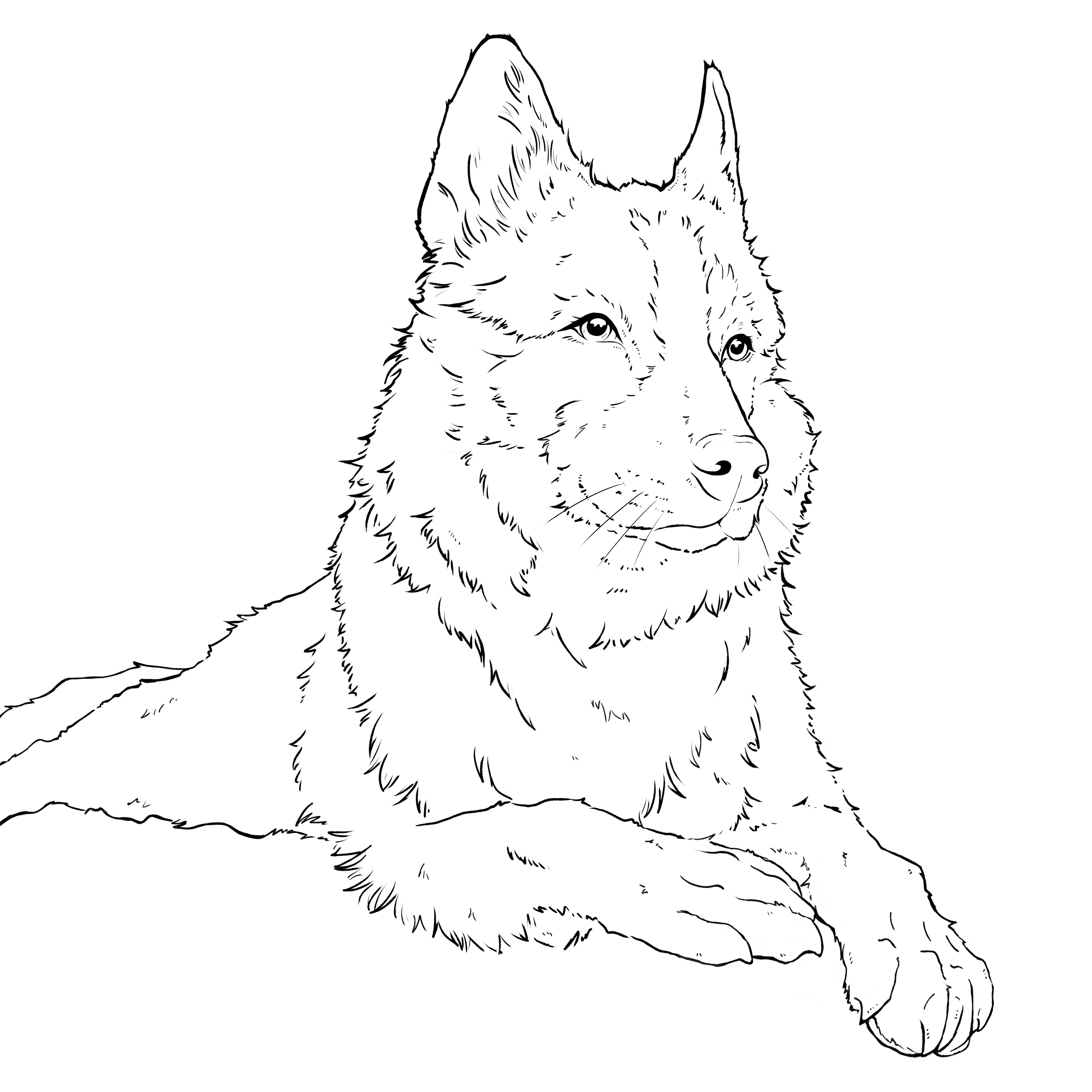 maise line work.png